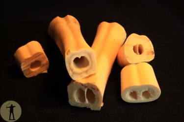 zur Herstellung mandschurischer Daumenringe geeignete Röhrenknochen
